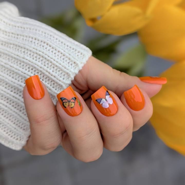 Butterfly Kiss Set