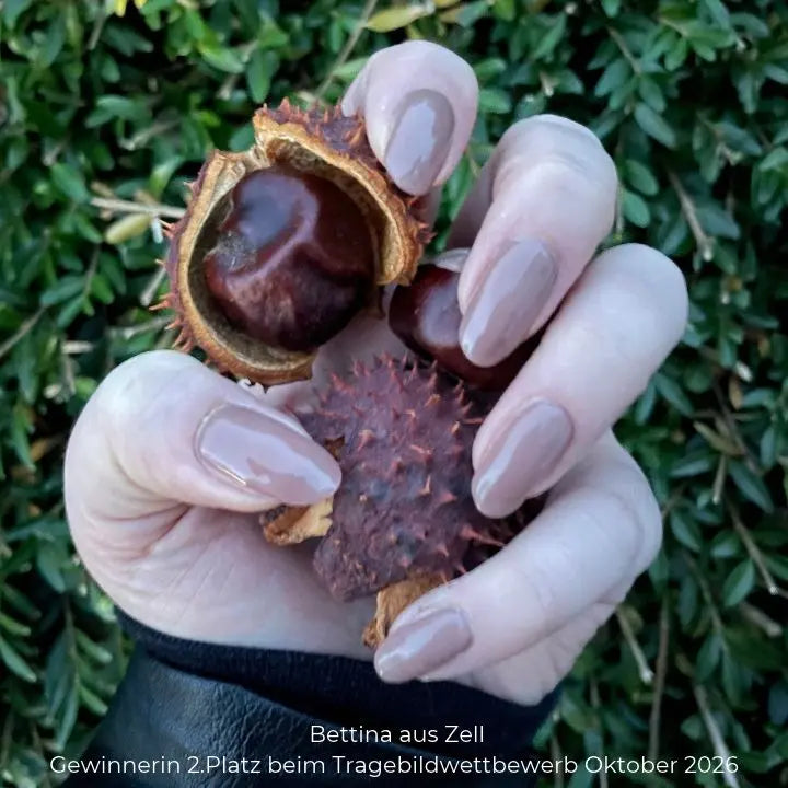 Noisette Brown UV Nail Wrap