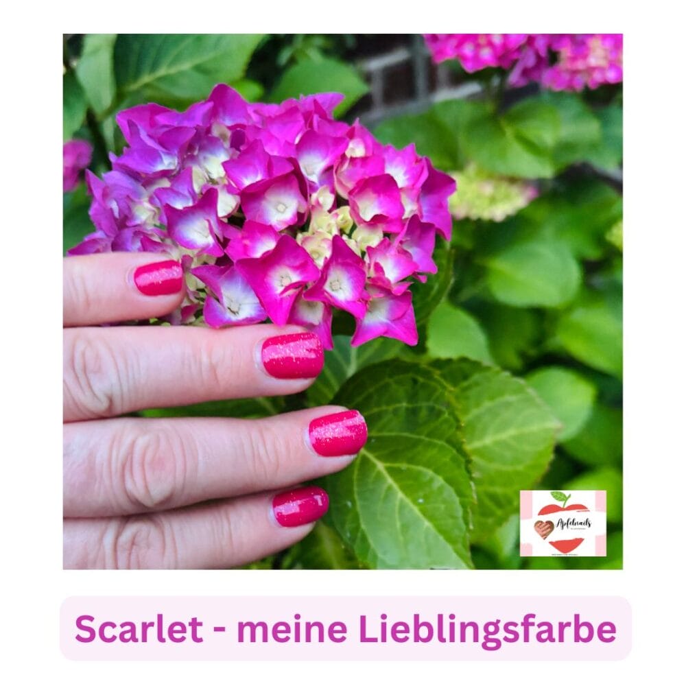 Manifix UV Folie Scarlet – Meine Liebe zu UV-Folien und Blumen im Garten