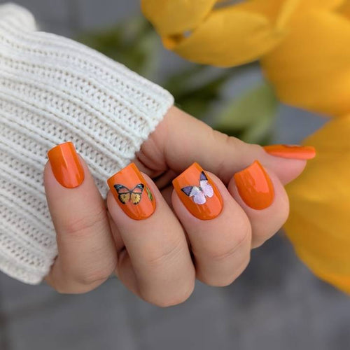 Butterfly Kiss Set