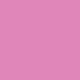 rosa-winter